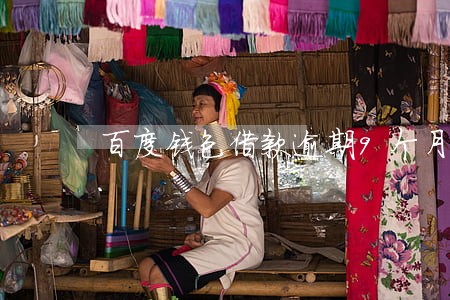 百度钱包借款逾期9个月 百度钱包借款逾期9个月