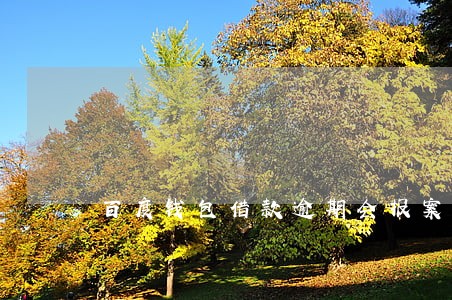 百度钱包借款逾期会报案吗 百度钱包借款逾期会报案吗