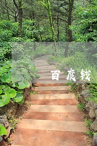 百度钱包八万逾期半年 百度钱包八万逾期半年