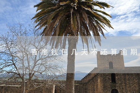 百度钱包几天不还算逾期 百度钱包几天不还算逾期
