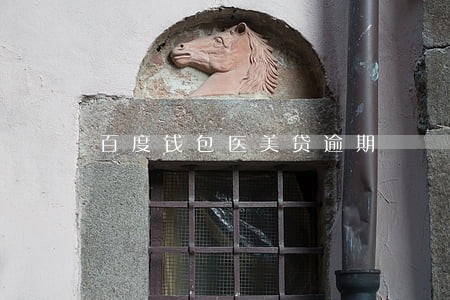 百度钱包医美贷逾期 百度钱包医美贷逾期