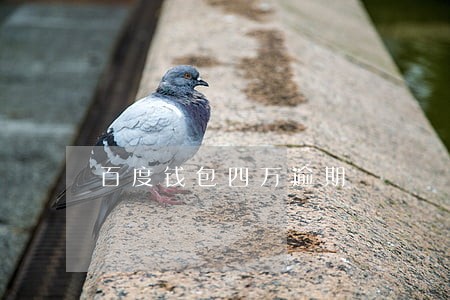 百度钱包四万逾期 百度钱包四万逾期