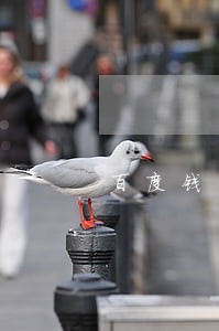 百度钱包多久算逾期 百度钱包多久算逾期