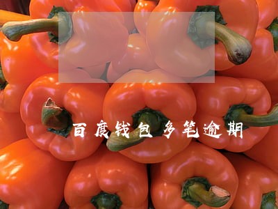 百度钱包多笔逾期 百度钱包多笔逾期