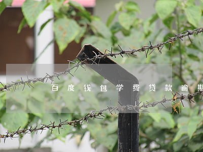 百度钱包学费贷款逾期 百度钱包学费贷款逾期
