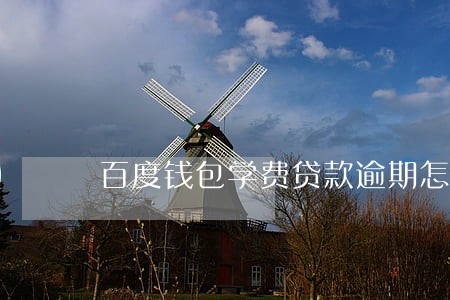 百度钱包学费贷款逾期怎么办 百度钱包学费贷款逾期怎么办
