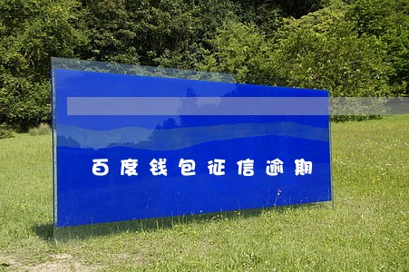 百度钱包征信逾期