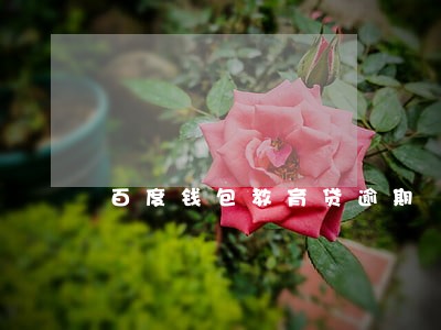 百度钱包教育贷逾期 百度钱包教育贷逾期
