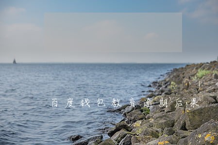百度钱包教育逾期后果 百度钱包教育逾期后果