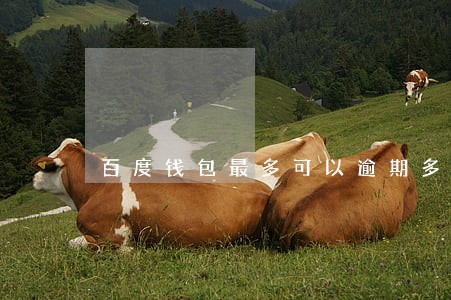 百度钱包最多可以逾期多久 百度钱包最多可以逾期多久