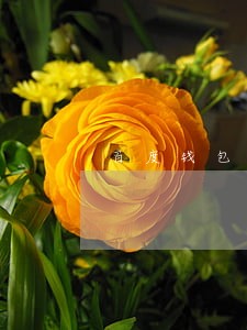 百度钱包有逾期还能再借 百度钱包有逾期还能再借