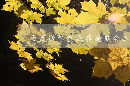 百度钱包有钱花逾期会上门催债 百度钱包有钱花逾期会上门催债