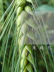 百度钱包网贷逾期了怎样 百度钱包网贷逾期了怎样