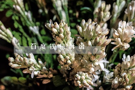 百度钱包诉讼