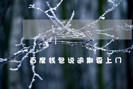 百度钱包说逾期要上门 百度钱包说逾期要上门