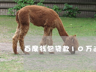 百度钱包贷款10万逾期