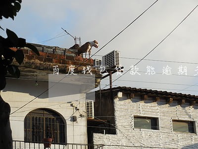 百度钱包贷款能逾期多久 百度钱包贷款能逾期多久