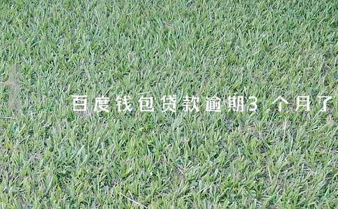 百度钱包贷款逾期3个月了 百度钱包贷款逾期3个月了