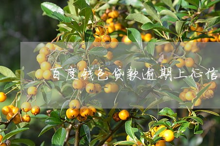 百度钱包贷款逾期上征信吗 百度钱包贷款逾期上征信吗