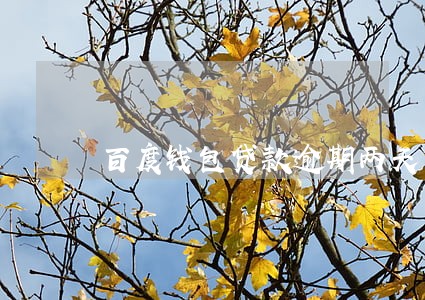 百度钱包贷款逾期两天 百度钱包贷款逾期两天