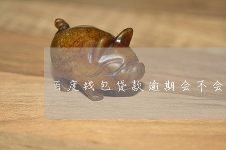 百度钱包贷款逾期会不会起诉 百度钱包贷款逾期会不会起诉