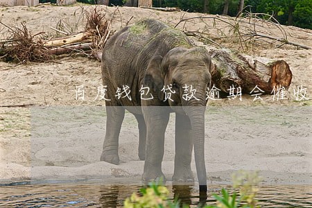 百度钱包贷款逾期会催收吗 百度钱包贷款逾期会催收吗