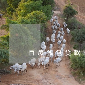 百度钱包贷款逾期会怎样 百度钱包贷款逾期会怎样