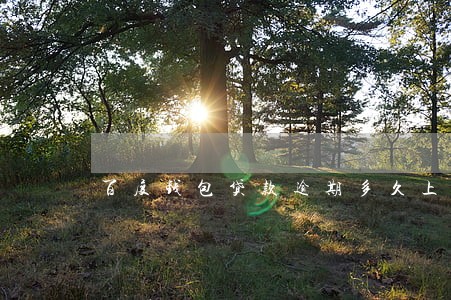 百度钱包贷款逾期多久上征信 百度钱包贷款逾期多久上征信