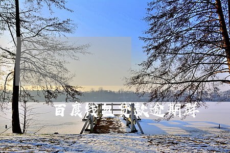 百度钱包贷款逾期群 百度钱包贷款逾期群