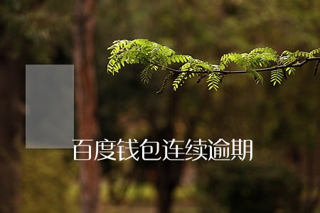 百度钱包连续逾期 百度钱包连续逾期