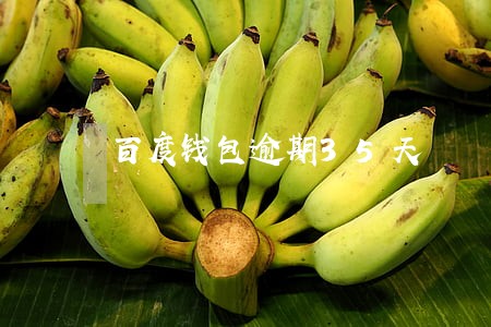 百度钱包逾期35天 百度钱包逾期35天