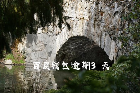 百度钱包逾期3天 百度钱包逾期3天