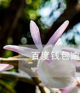 百度钱包逾期3年 百度钱包逾期3年