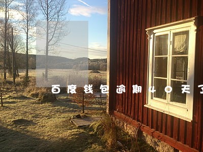 百度钱包逾期40天了 百度钱包逾期40天了