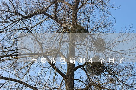 百度钱包逾期4个月了 百度钱包逾期4个月了