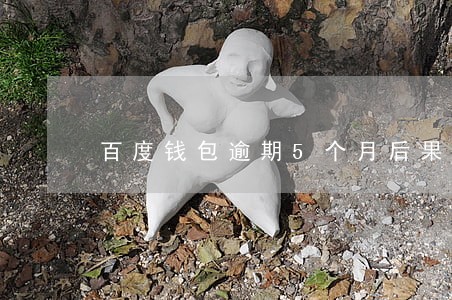 百度钱包逾期5个月后果 百度钱包逾期5个月后果