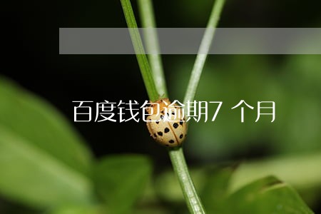 百度钱包逾期7个月 百度钱包逾期7个月