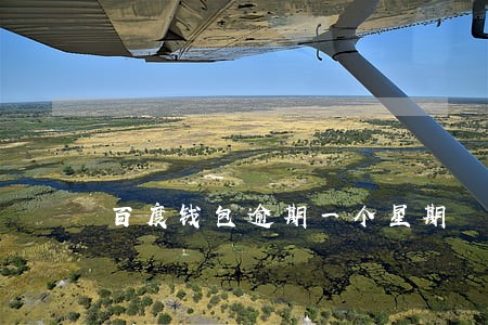 百度钱包逾期一个星期 百度钱包逾期一个星期