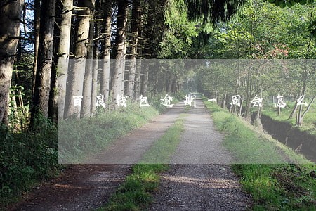 百度钱包逾期一周会怎么样