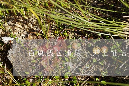 百度钱包逾期一天上征信吗 百度钱包逾期一天上征信吗