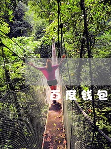 百度钱包逾期一天会怎么样 百度钱包逾期一天会怎么样