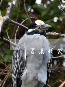 百度钱包逾期一天有什么后果 百度钱包逾期一天有什么后果