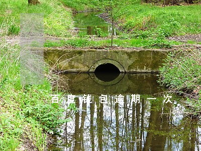 百度钱包逾期一次