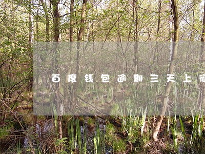 百度钱包逾期三天上征信