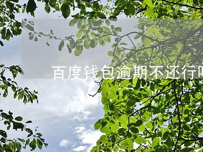 百度钱包逾期不还行吗 百度钱包逾期不还行吗