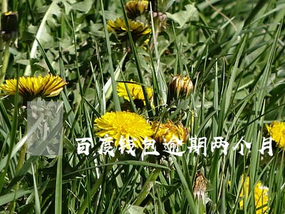 百度钱包逾期两个月 百度钱包逾期两个月