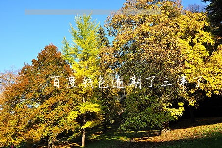 百度钱包逾期了三年了 百度钱包逾期了三年了