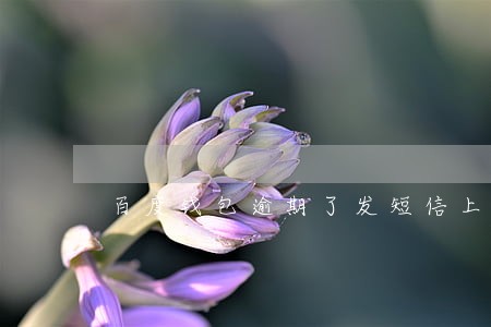 百度钱包逾期了发短信上门调查 百度钱包逾期了发短信上门调查