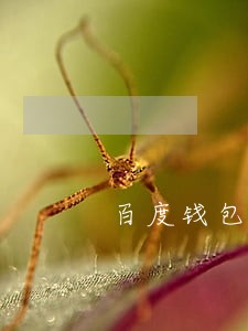 百度钱包逾期会找子女吗 百度钱包逾期会找子女吗