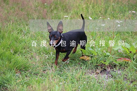 百度钱包逾期会报警吗 百度钱包逾期会报警吗